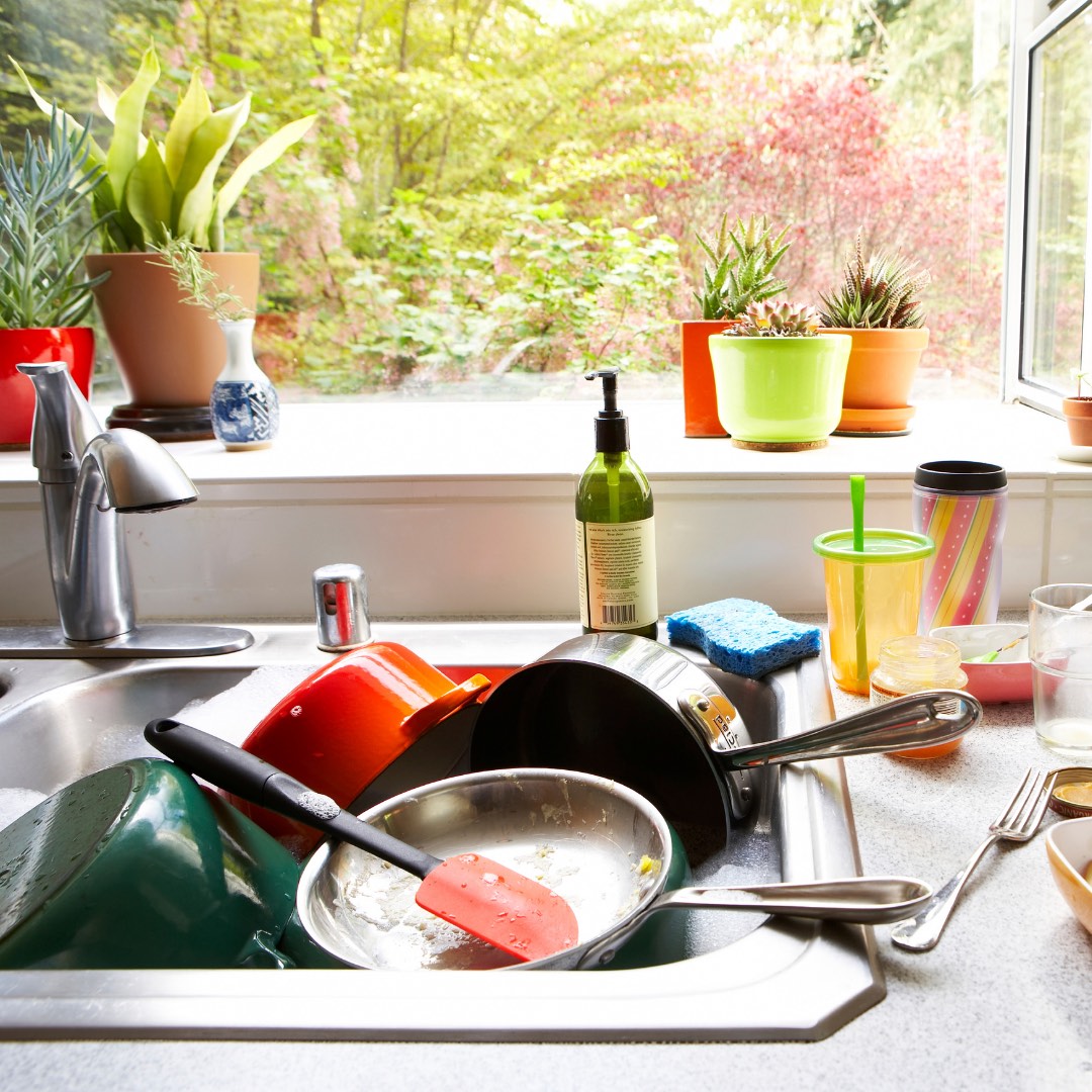 When it's time for a new housemate, it's time.